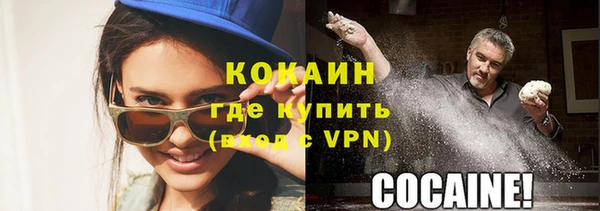 мдпв Пестово