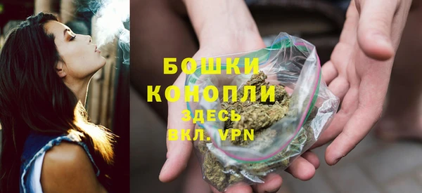 бошки Бронницы