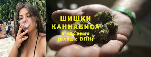бошки Бронницы