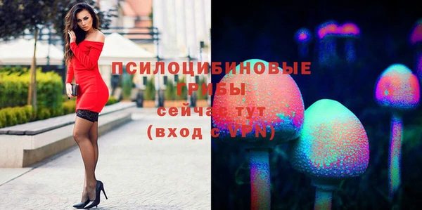 ГАЛЛЮЦИНОГЕННЫЕ ГРИБЫ Богородск
