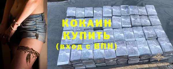 бошки Бронницы